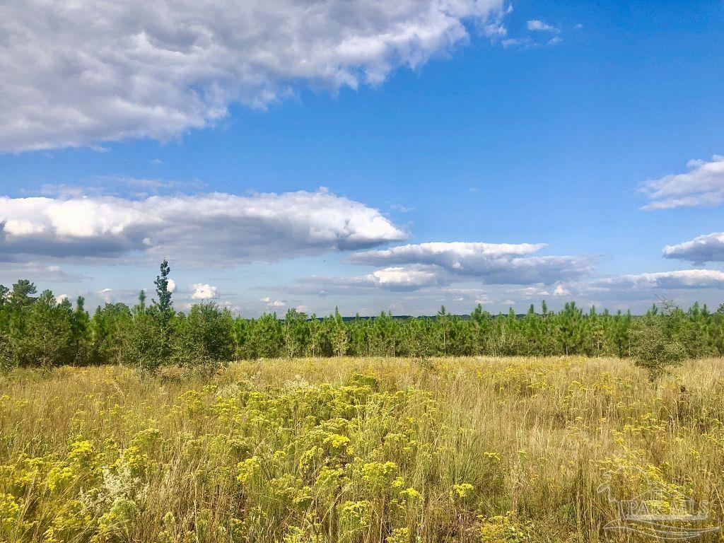 Lot 4-sw Gin Road Milton, FL 32571 - Photo 8 of 25 Gallery Image 8