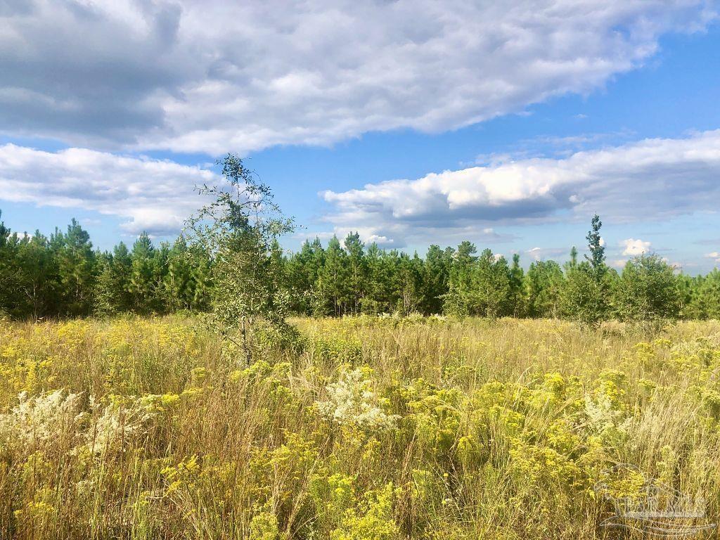 Lot 4-sw Gin Road Milton, FL 32571 - Photo 9 of 25 Gallery Image 9
