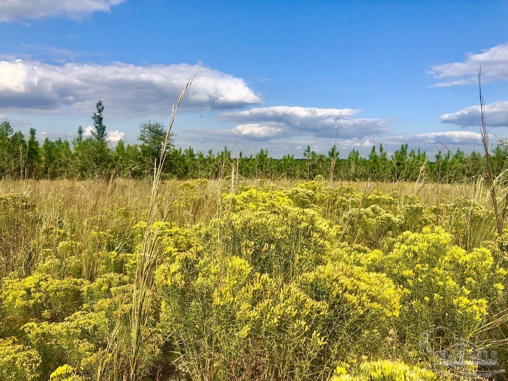 Lot 4-sw Gin Road Milton, FL 32571 - Photo 10 of 25 Gallery Image 10