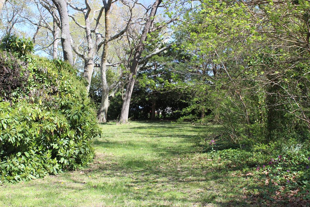 Lot 2 Gull Point Road, Unit 2 Franktown, VA 23354 - Photo 9 of 18