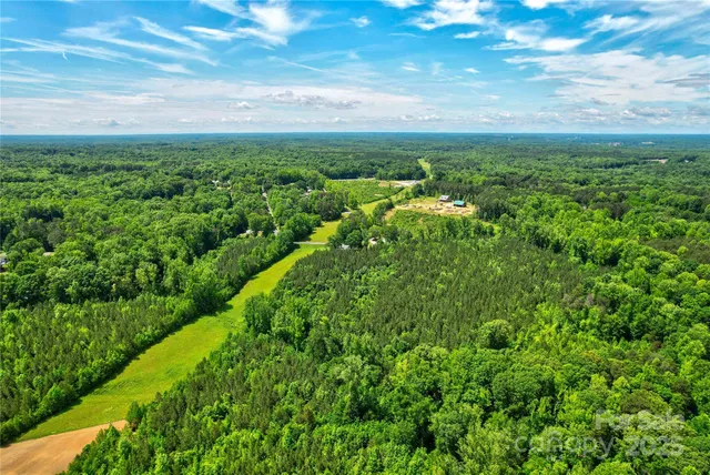 a view of a city with lush green forest