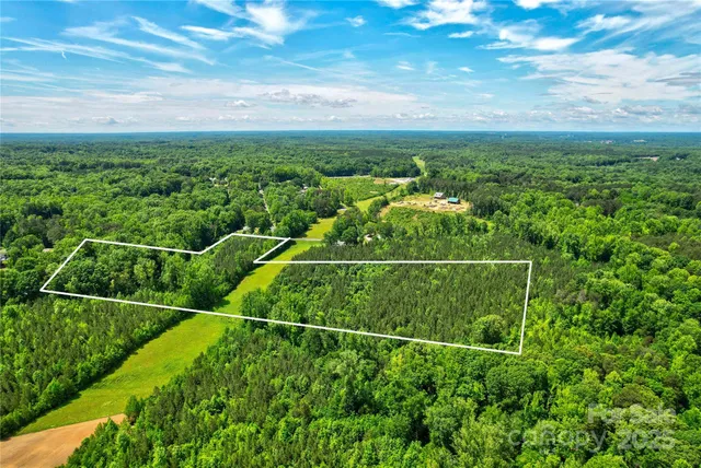 a view of a yard with potted plants and large tree