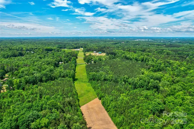 a view of a yard with an trees