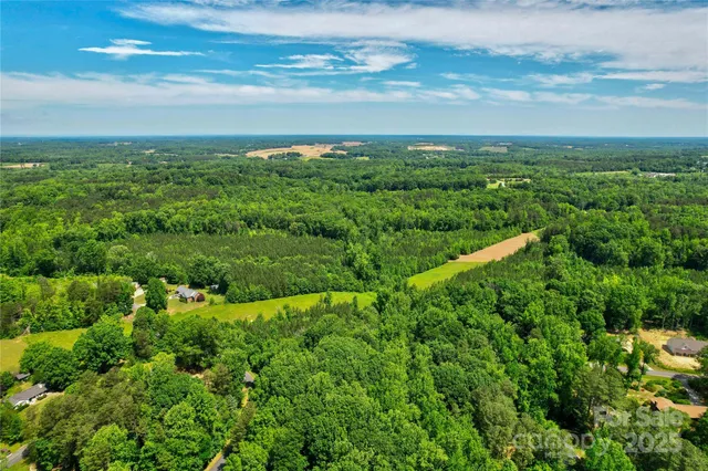 a view of a city with lush green forest