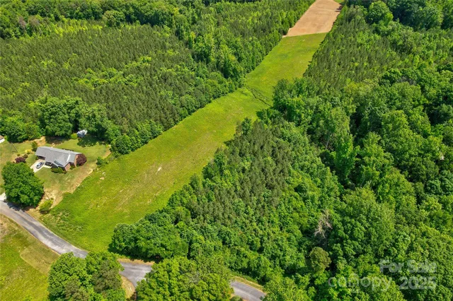 a view of a large yard with plants and large trees