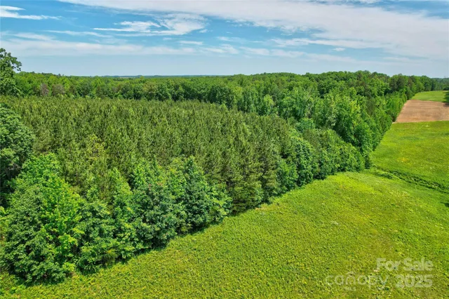 a view of a yard with an outdoor space