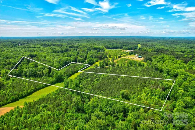 a view of a yard with potted plants and large tree