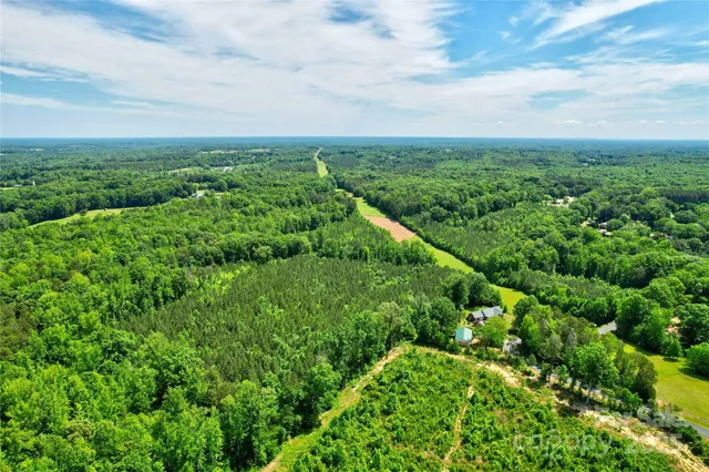 a view of a green field with lots of bushes