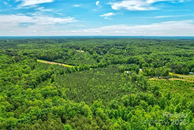 a view of yard with green space