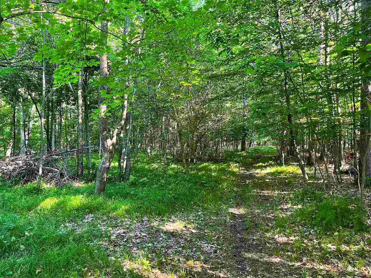 5578 West River Road Weidman, MI 48893 - Photo 11 of 13 1888771-10.JPG