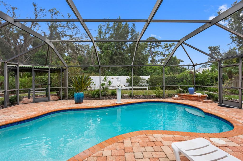 8528 Thrasher Court New Port Richey, FL 34654 - Photo 19 of 56