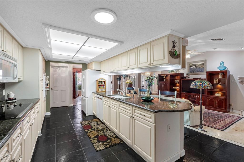 8528 Thrasher Court New Port Richey, FL 34654 - Photo 23 of 56