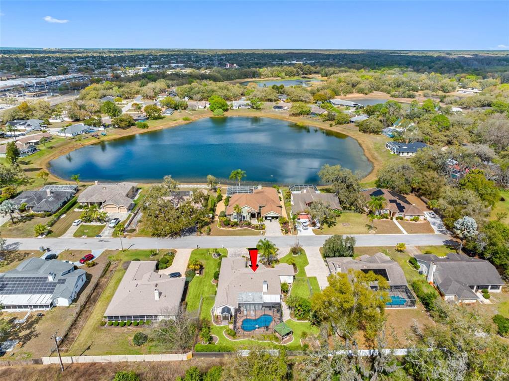 8528 Thrasher Court New Port Richey, FL 34654 - Photo 54 of 56