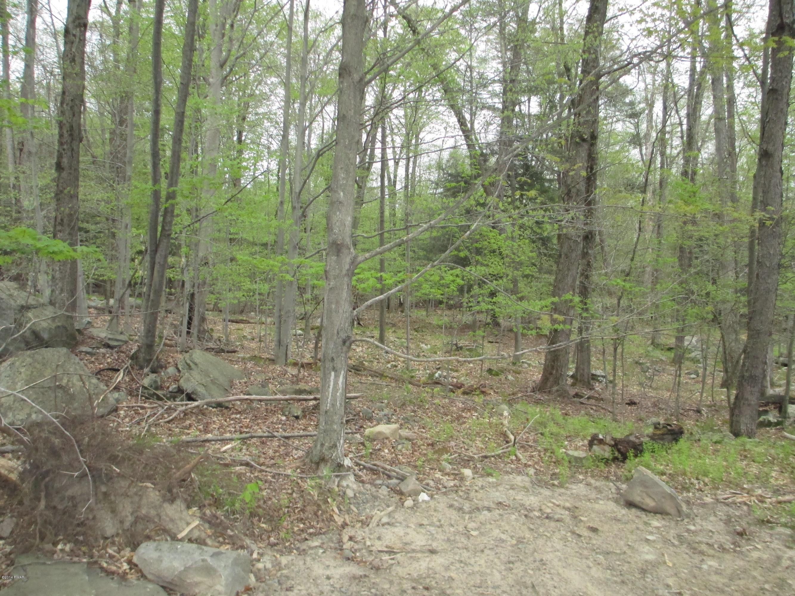 3868 Applegate Road Lake Ariel, PA 18436 - Photo 2 of 14