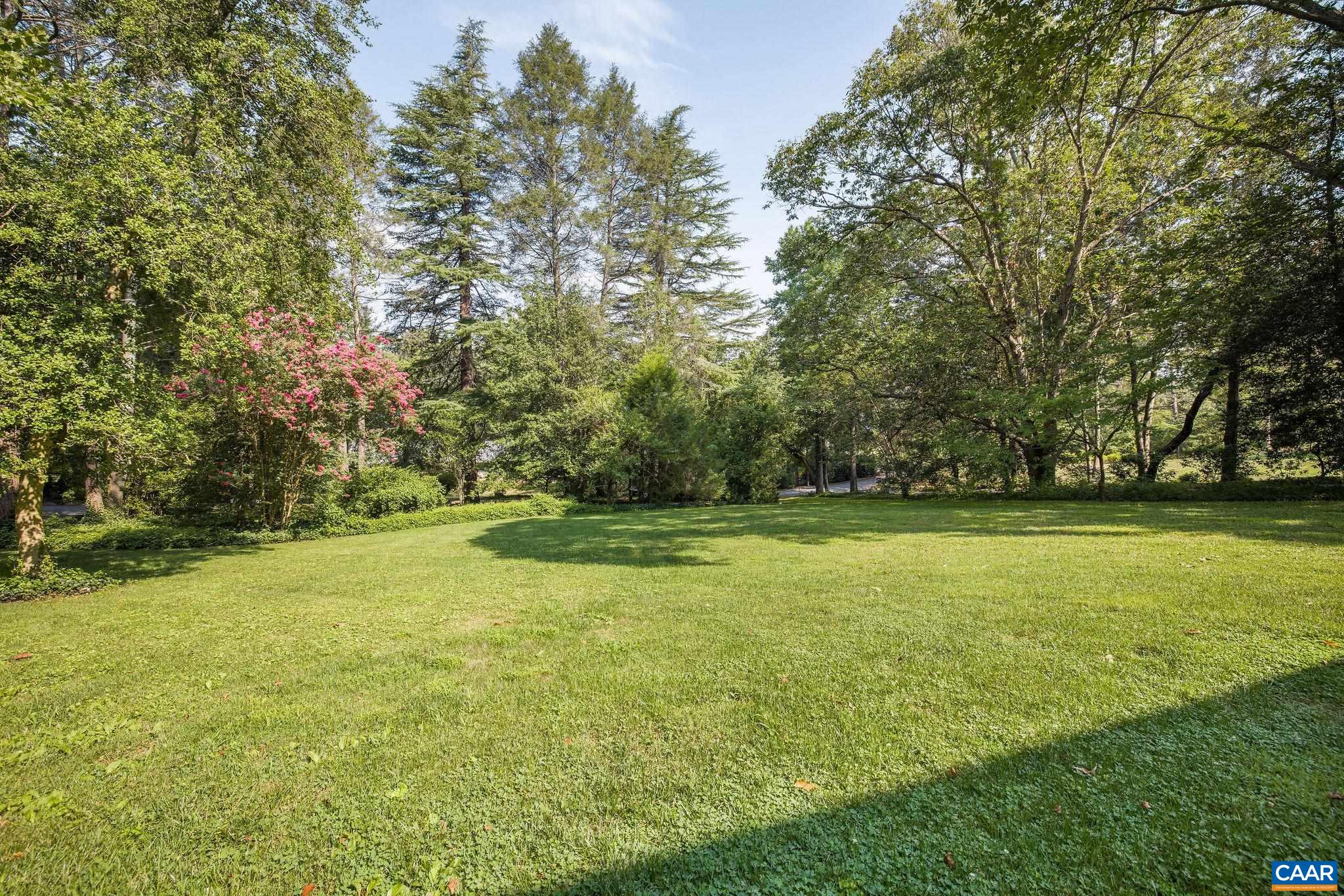 1204 Blue Ridge Road Charlottesville, VA 22903 - Photo 12 of 51 a view of a yard with a trees