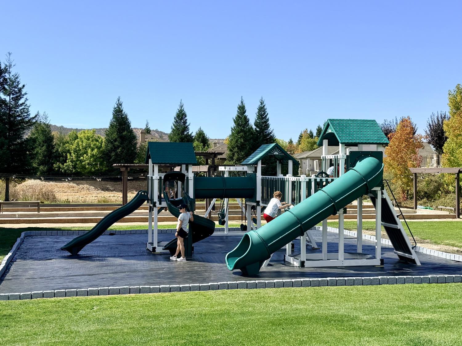 196 Hawk Ridge Copperopolis, CA 95228 - Photo 19 of 25 Playground at Sports Club