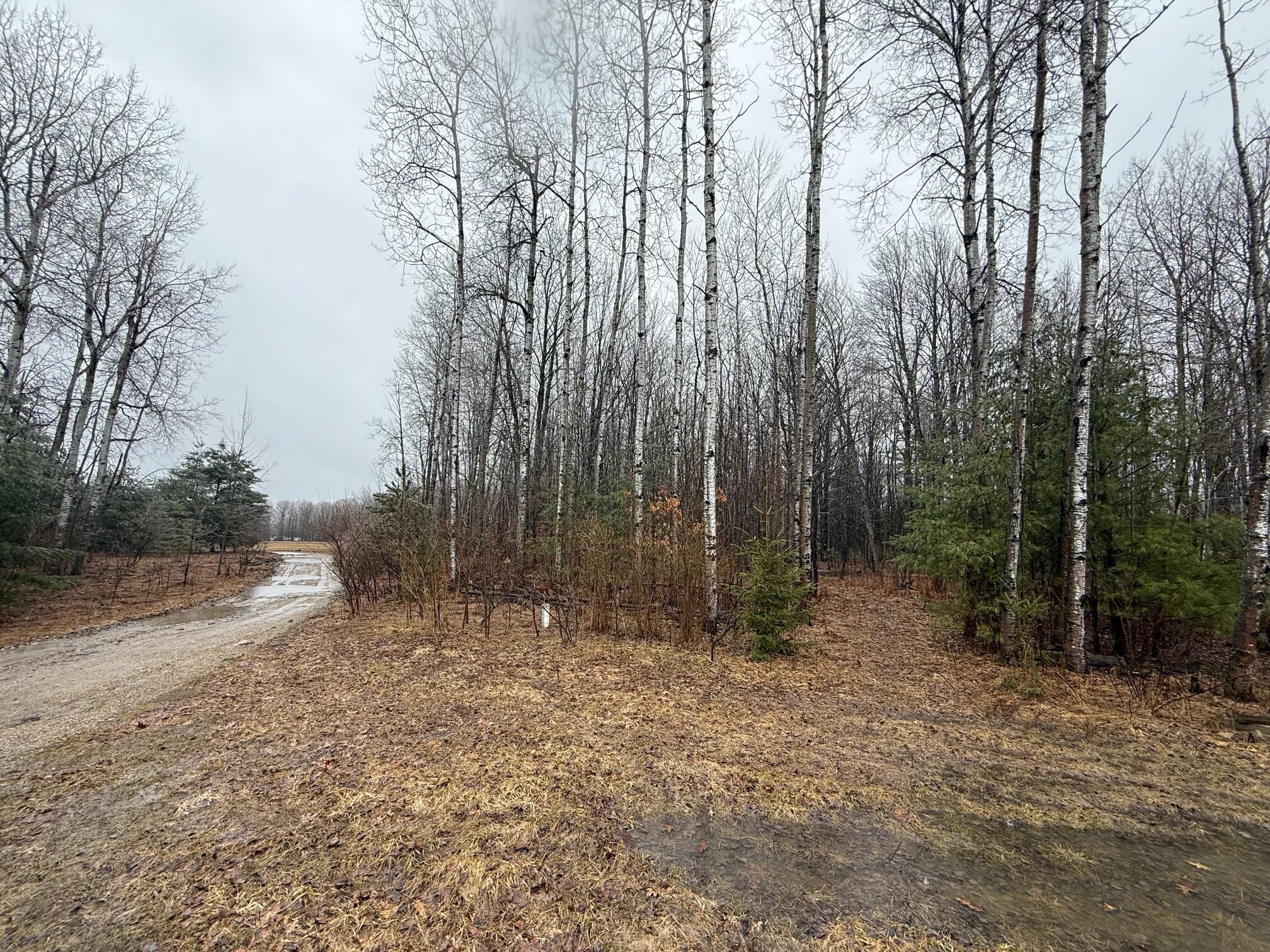 8211 West Moorestown Road Manton, MI 49663 - Photo 17 of 19 Driveway 1