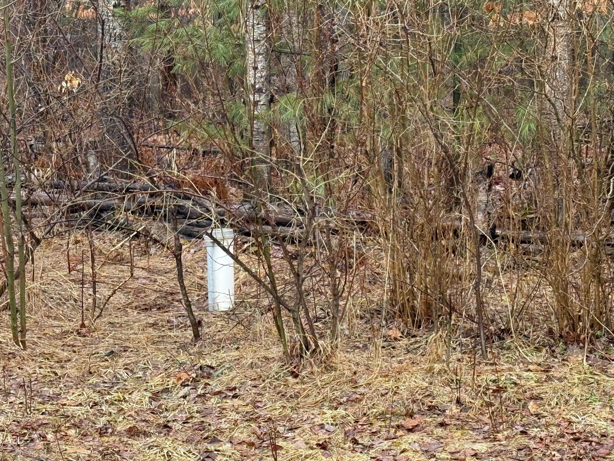 8211 West Moorestown Road Manton, MI 49663 - Photo 19 of 19 well