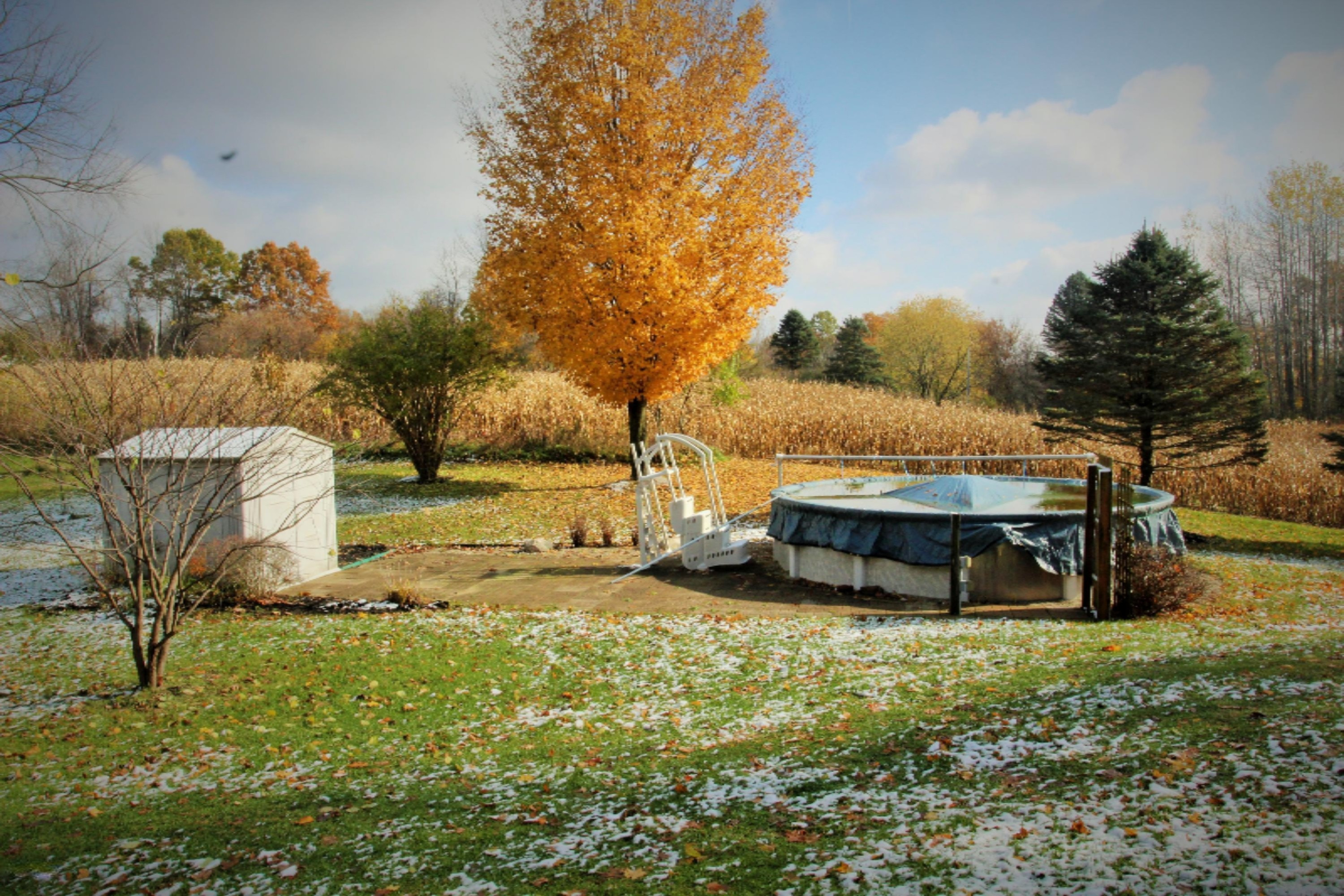 5407 Lacey Road Dowling, MI 49050 - Photo 11 of 64 IMG_2633 (2)