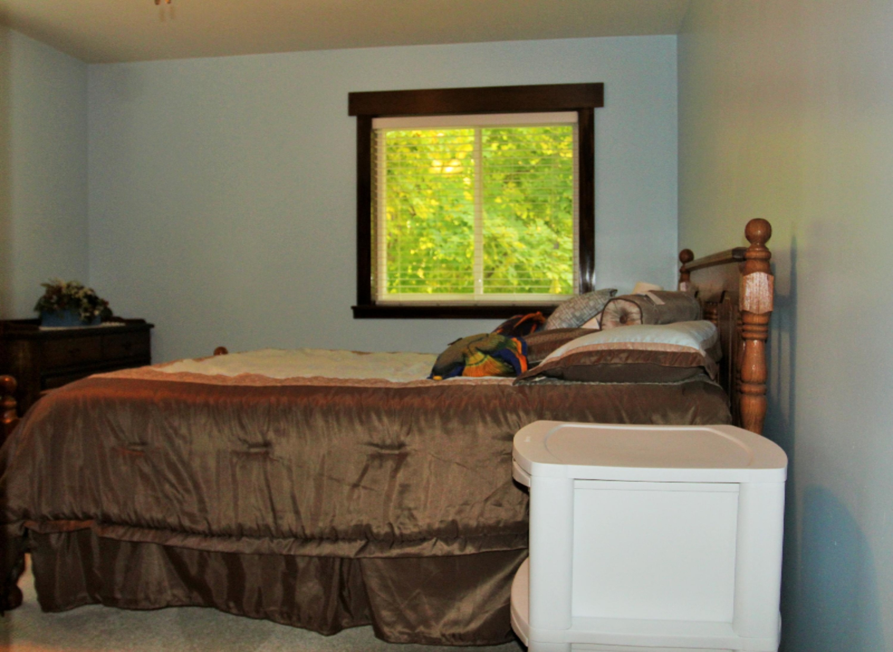 5407 Lacey Road Dowling, MI 49050 - Photo 47 of 64 IMG_2251 (2)