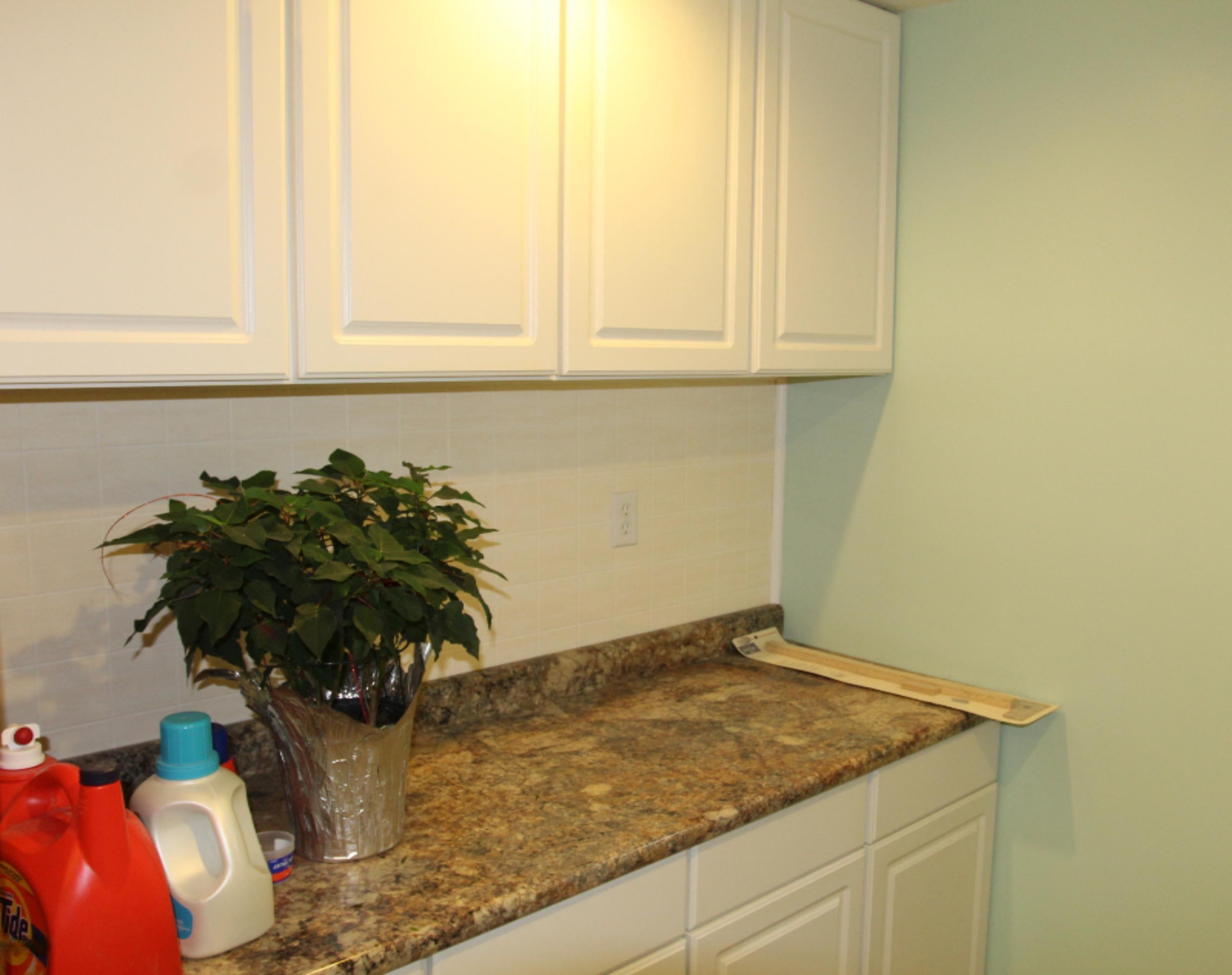 5407 Lacey Road Dowling, MI 49050 - Photo 58 of 64 IMG_2604 (2)