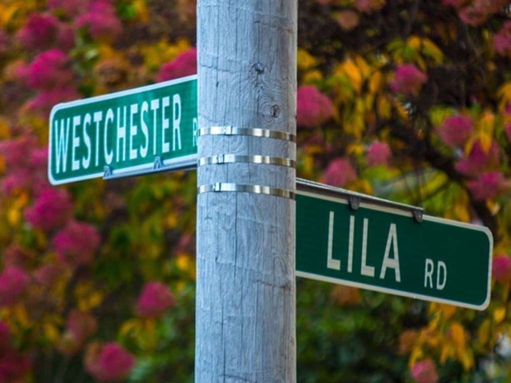 39 Westchester Road Boston, MA 02130 - Photo 32 of 34