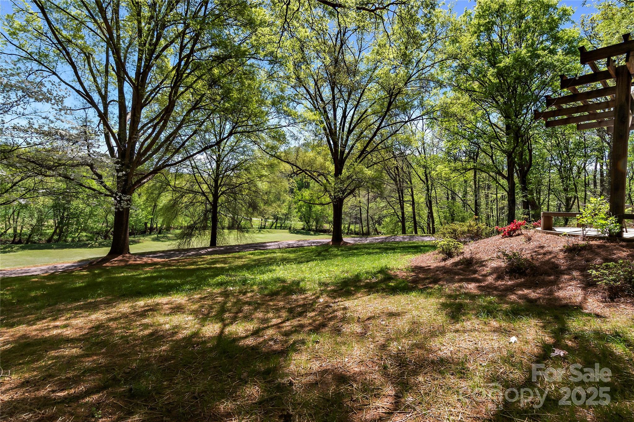 2950 Beroth Road Pfafftown, NC 27040 - Photo 34 of 39 a view of a tree in the middle of a yard