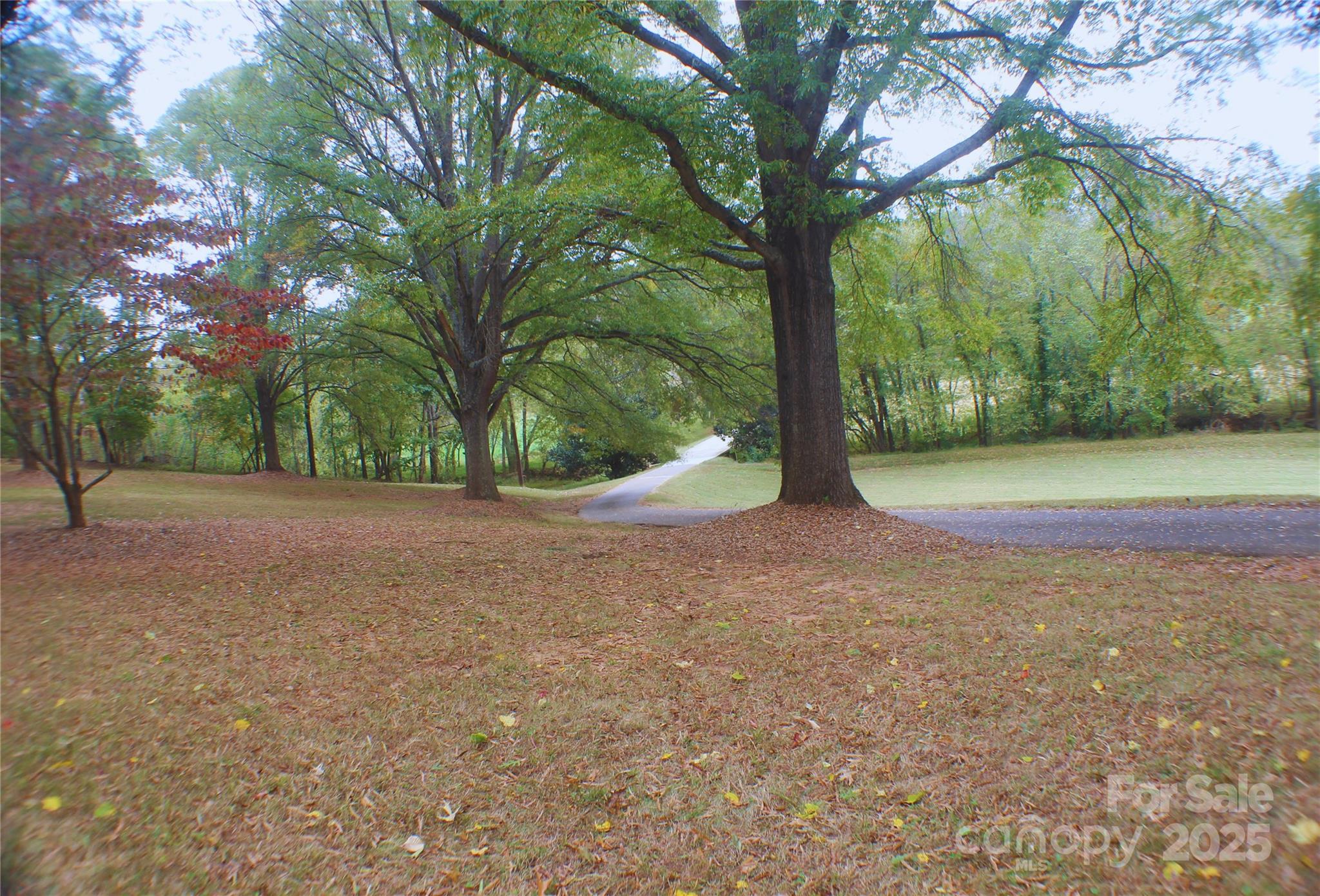 2950 Beroth Road Pfafftown, NC 27040 - Photo 39 of 39 a view of outdoor space and yard