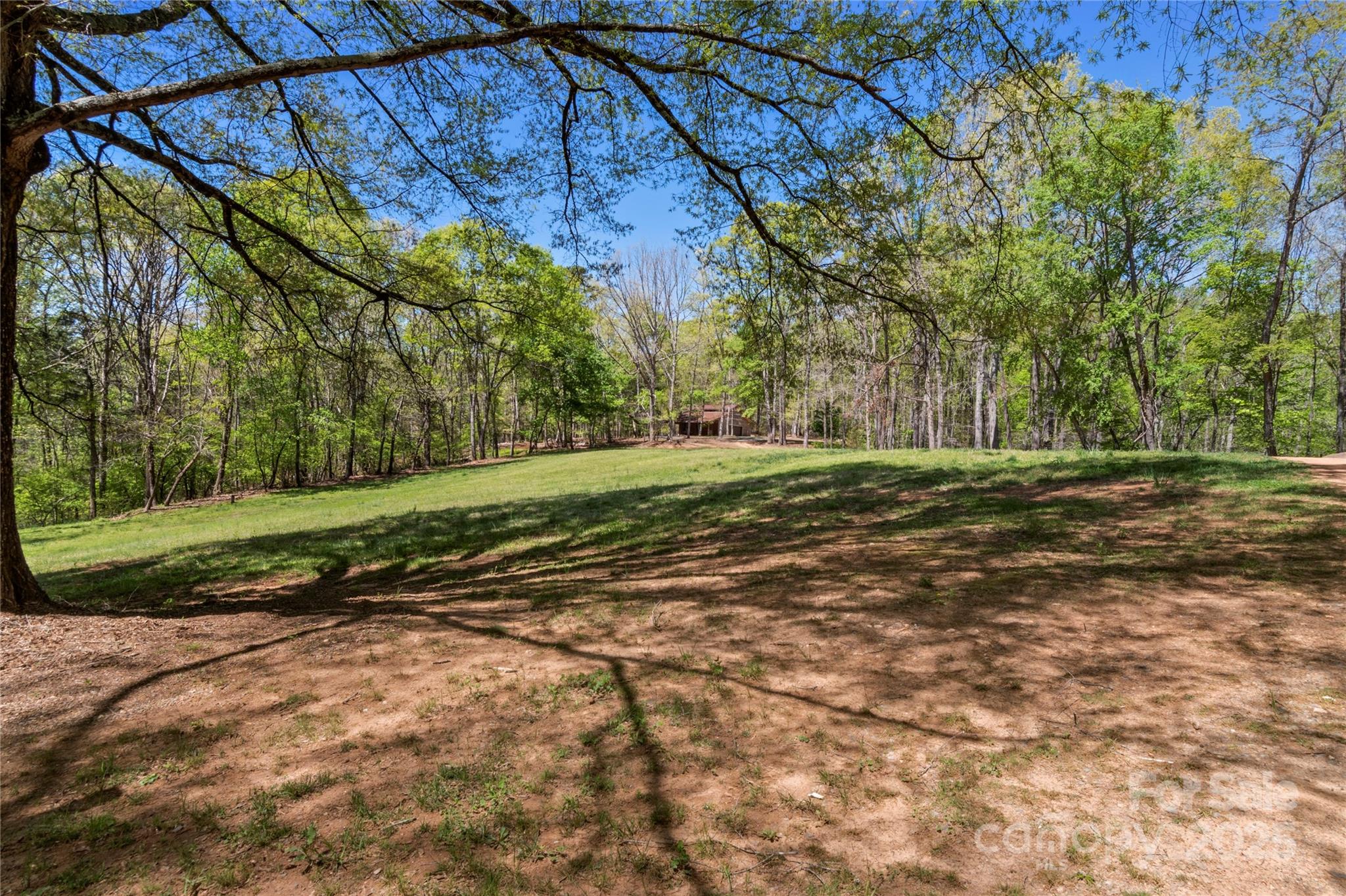 2950 Beroth Road Pfafftown, NC 27040 - Photo 5 of 39 a view of a field with large trees