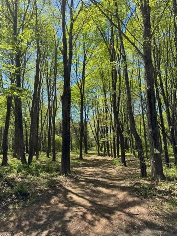 a view of outdoor space with trees