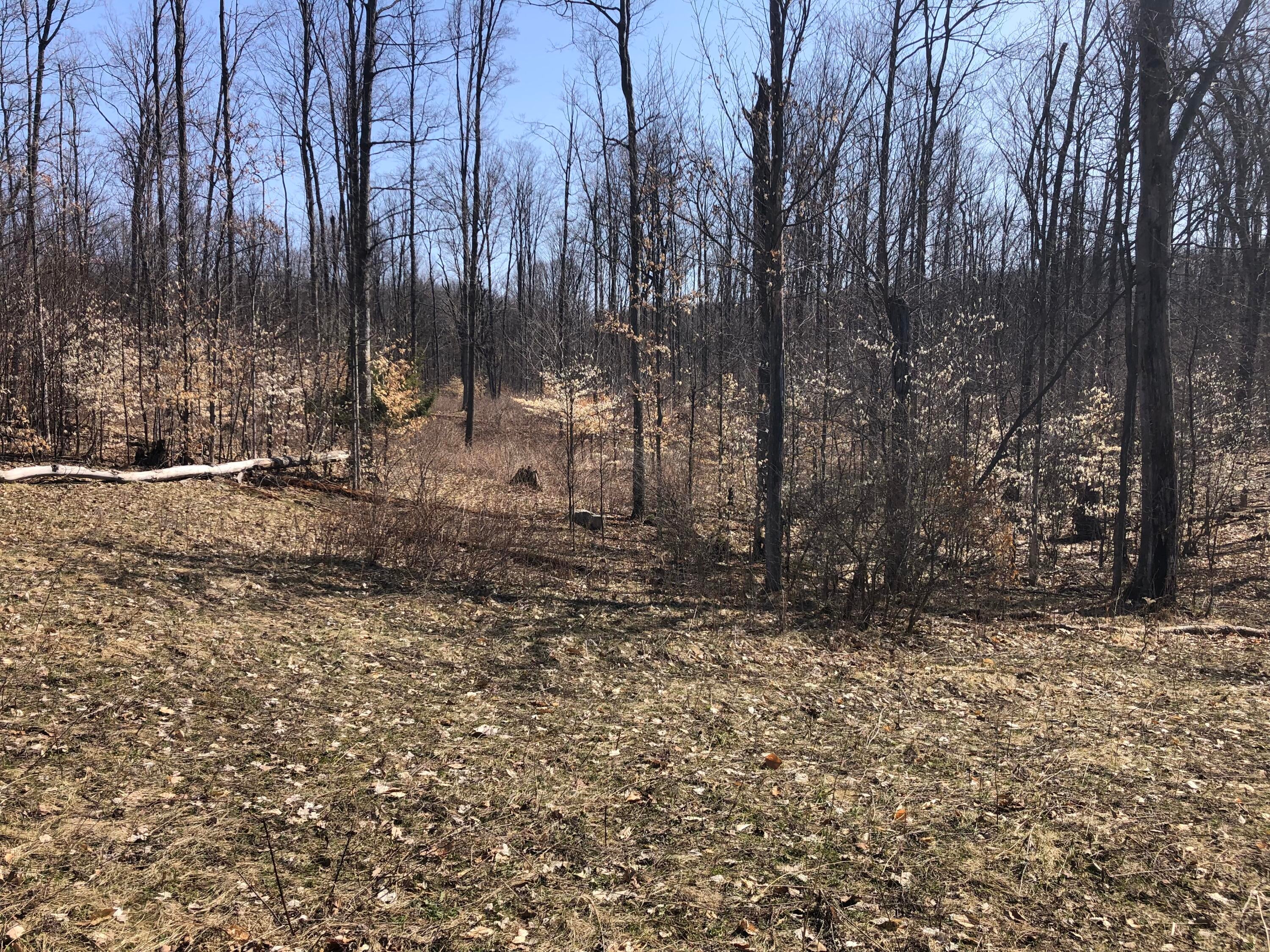 Congdon Road Gaylord, MI 49735 - Photo 12 of 14 Gallery Image 12
