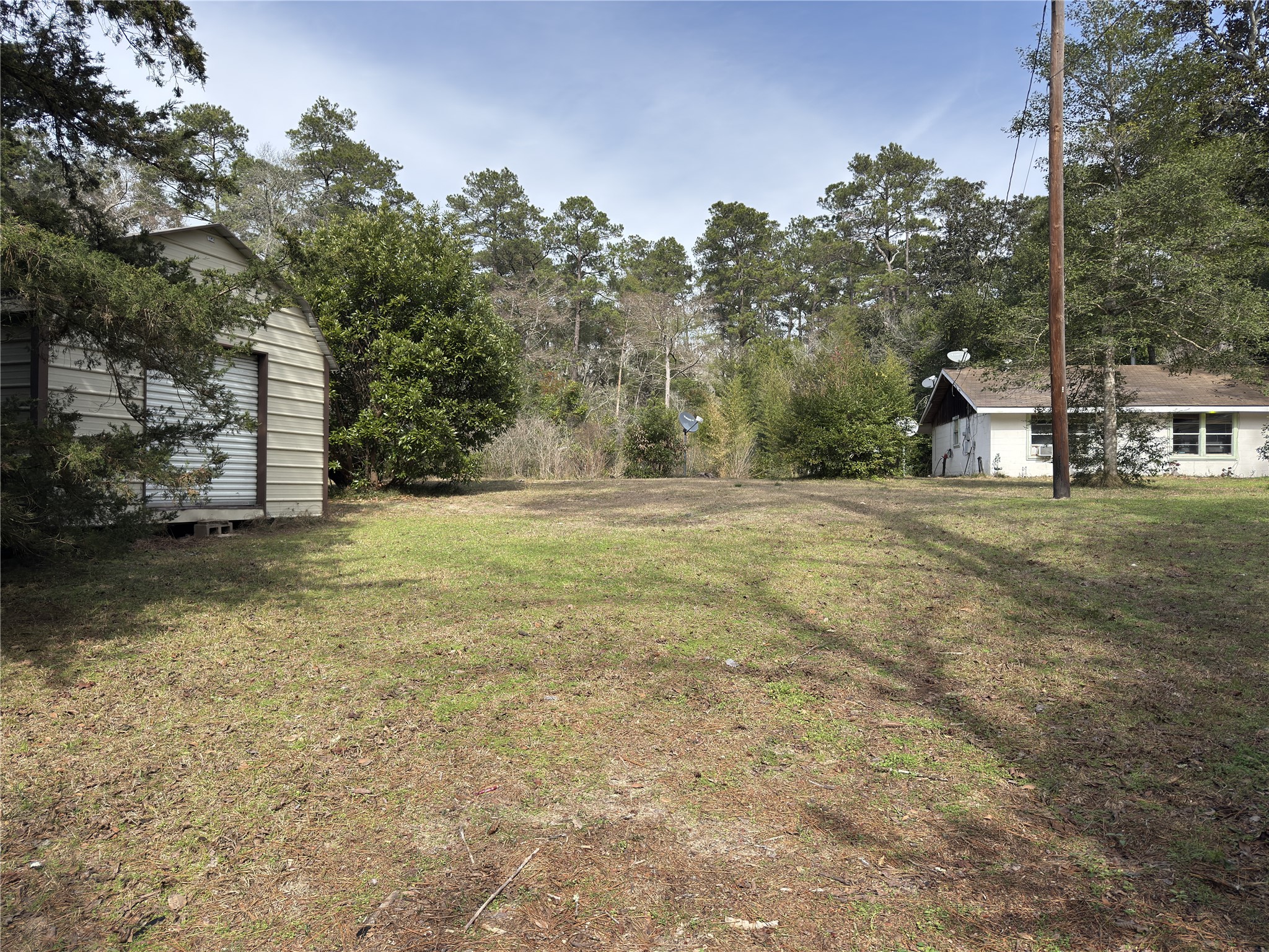 257 County Road 2142 Cleveland, TX 77327 - Photo 5 of 18 a view of a field with trees in the background