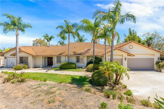 a palm tree sitting in front of a house with a yard