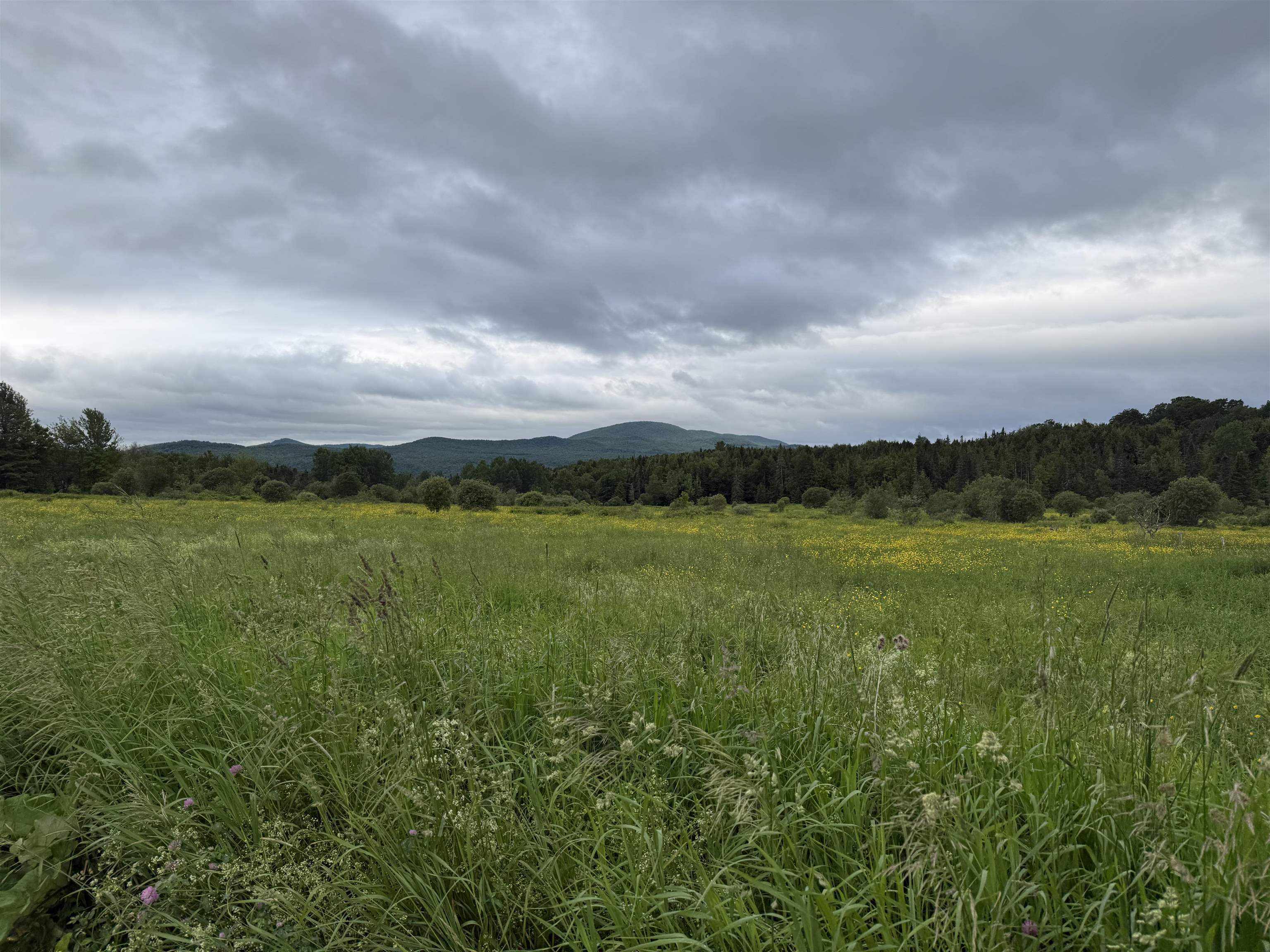 0 West Hill Road, Unit 22 3 Hardwick, VT 05843 - Photo 6 of 8