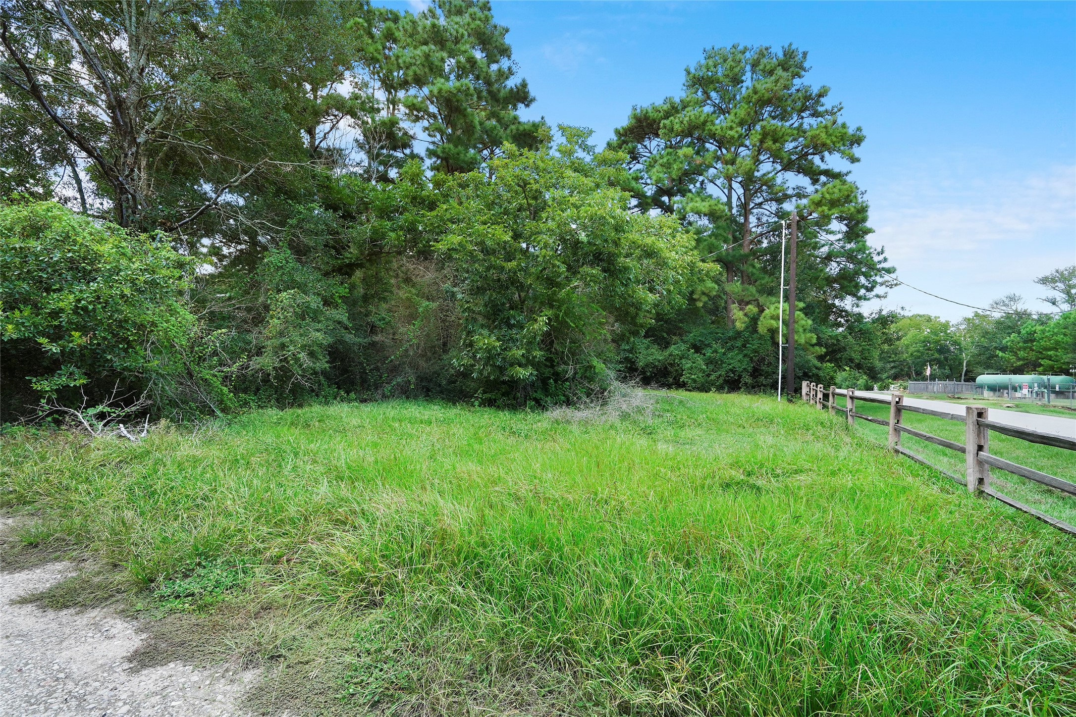 22111 Loblolly Road Tomball, TX 77377 - Photo 11 of 11 a view of a backyard with potted plants and large trees