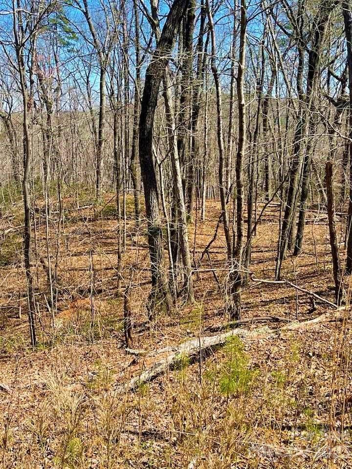 0 Shady Lane Mill Spring, NC 28756 - Photo 2 of 9 a view of yard