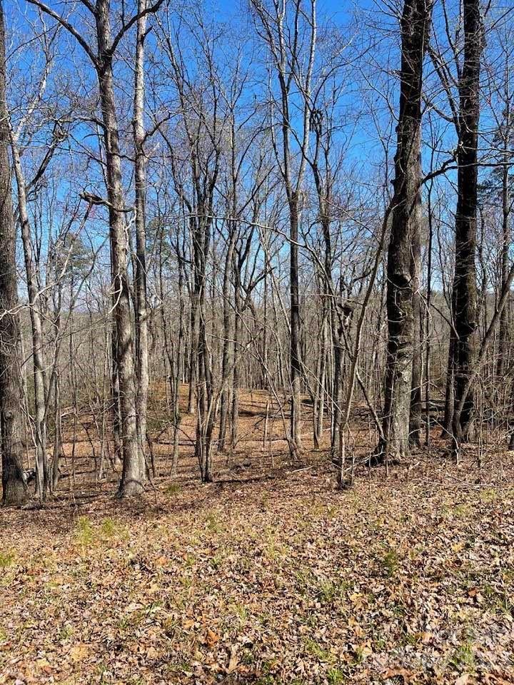 0 Shady Lane Mill Spring, NC 28756 - Photo 3 of 9 a view of house with trees in the background