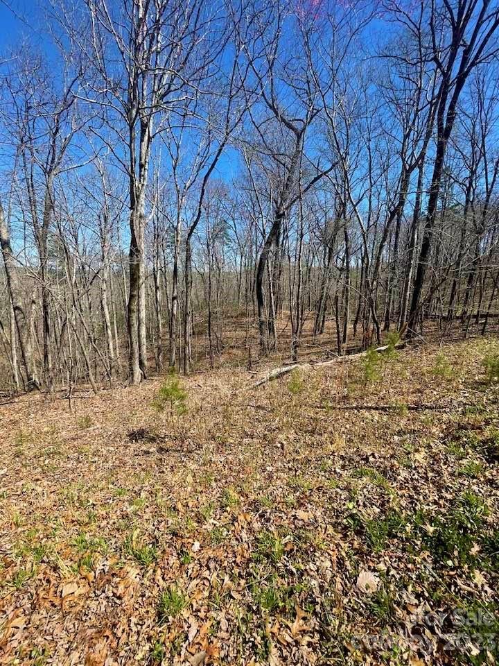 0 Shady Lane Mill Spring, NC 28756 - Photo 4 of 9 a view of covered with snow