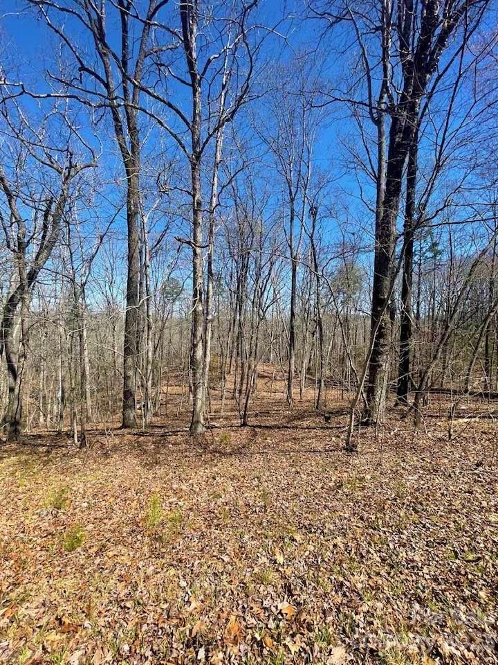 0 Shady Lane Mill Spring, NC 28756 - Photo 5 of 9 a backyard of a house with lots of green space