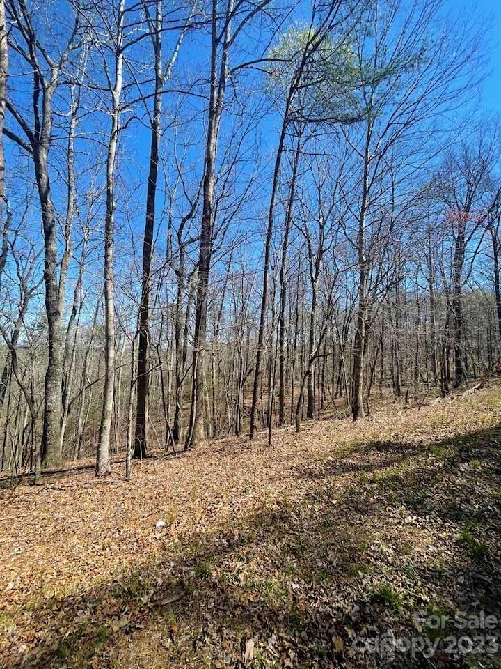 0 Shady Lane Mill Spring, NC 28756 - Photo 6 of 9 a view of large space with trees