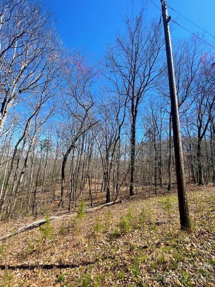 0 Shady Lane Mill Spring, NC 28756 - Photo 7 of 9 a view of covered with snow