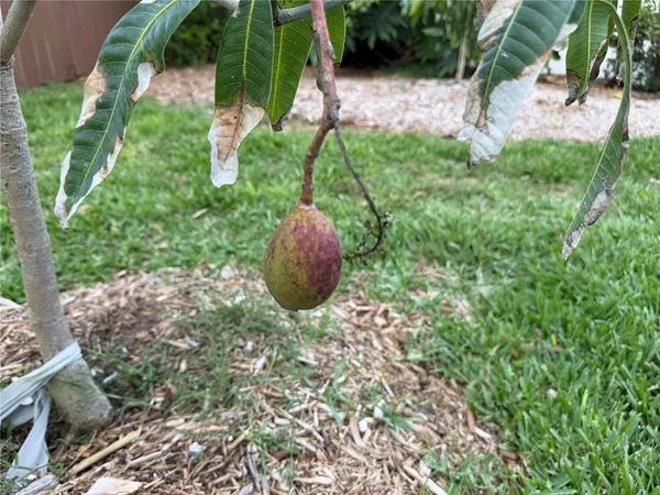 $949,999 | 4620 7th Avenue West, Bradenton, FL 34209