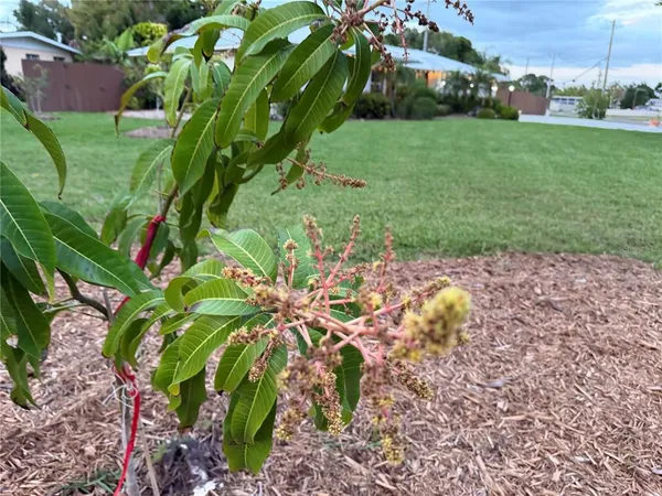 $949,999 | 4620 7th Avenue West, Bradenton, FL 34209