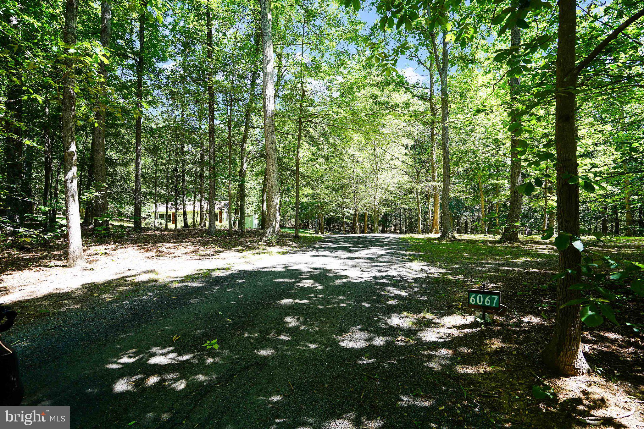 6067 Pilgrims Rest Road Broad Run, VA 20137 - Photo 45 of 58 Serene wooded retreat awaits you.