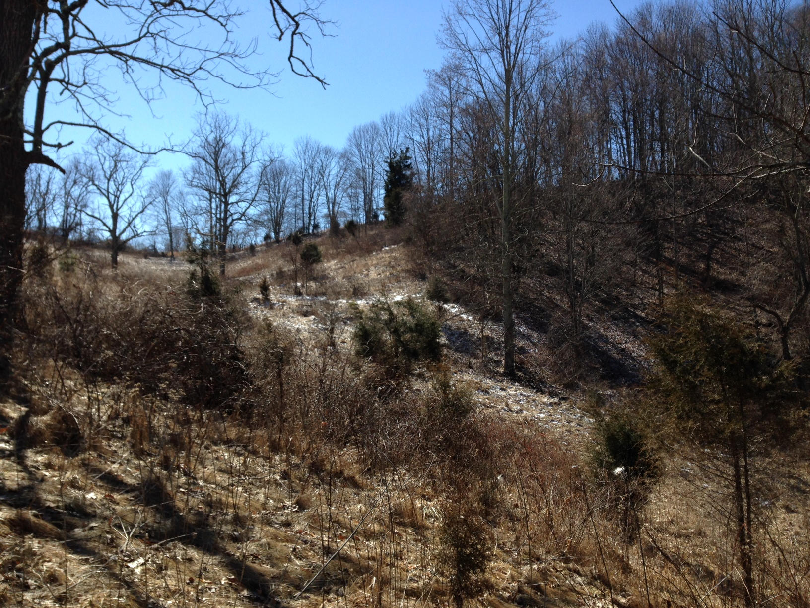 Dillon Road Forest Hill, WV 24935 - Photo 62 of 93 Gallery Image 62