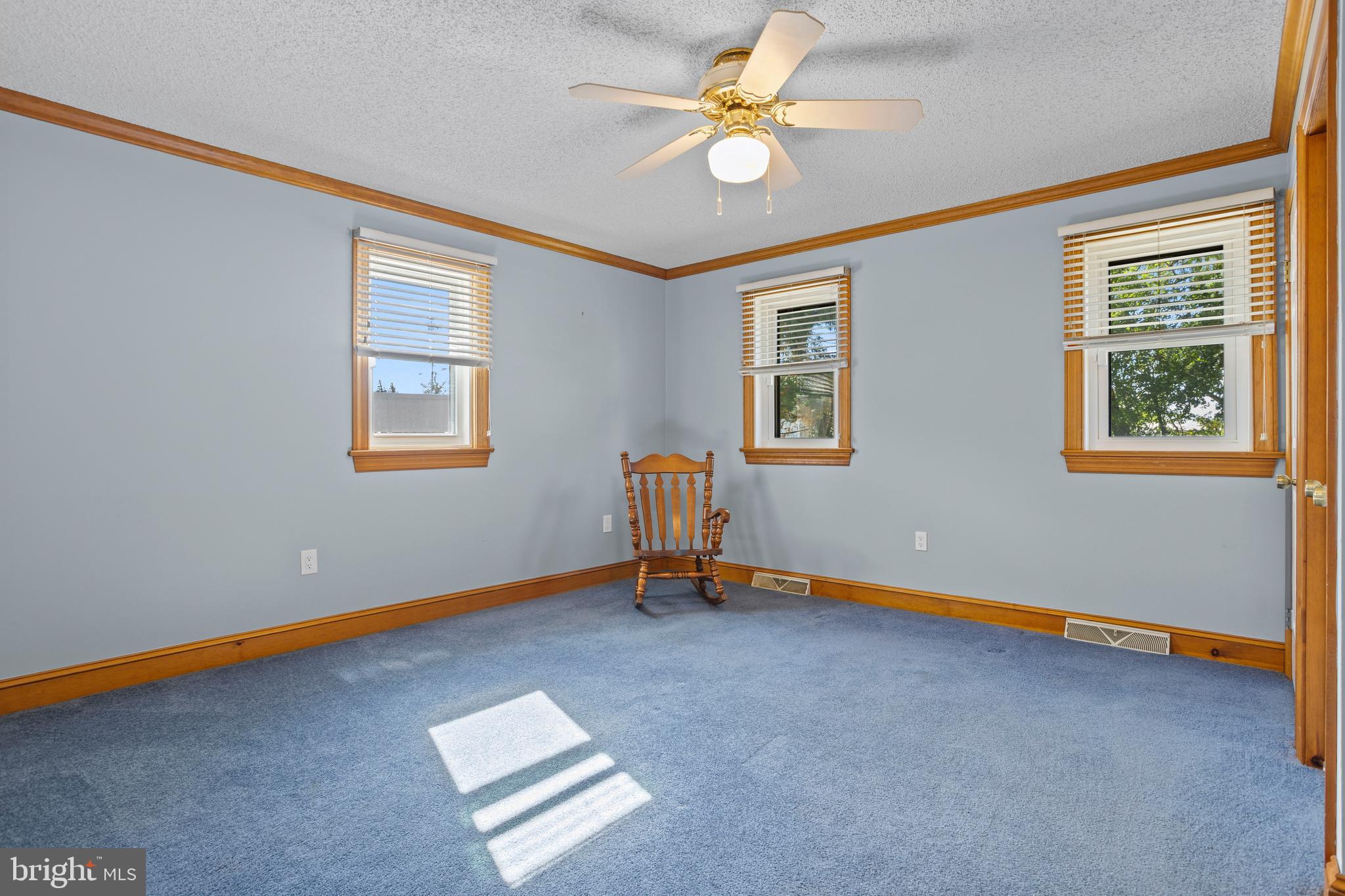 311 Ogden Place Springfield, PA 19064 - Photo 23 of 35 a living room with blue walls furniture and a window