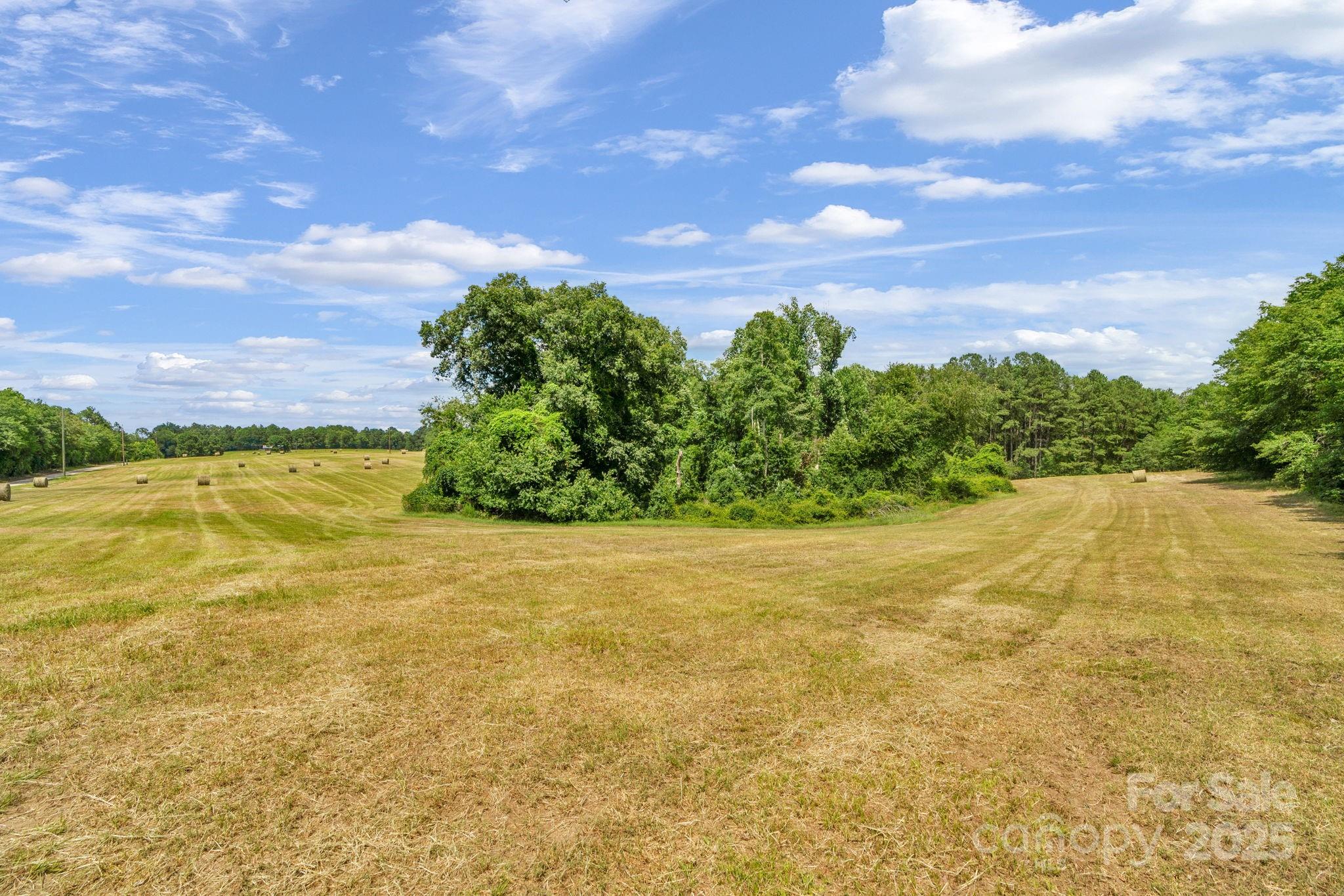 0 McMillan Road Cheraw, SC 29520 - Photo 18 of 33 a view of a lake view