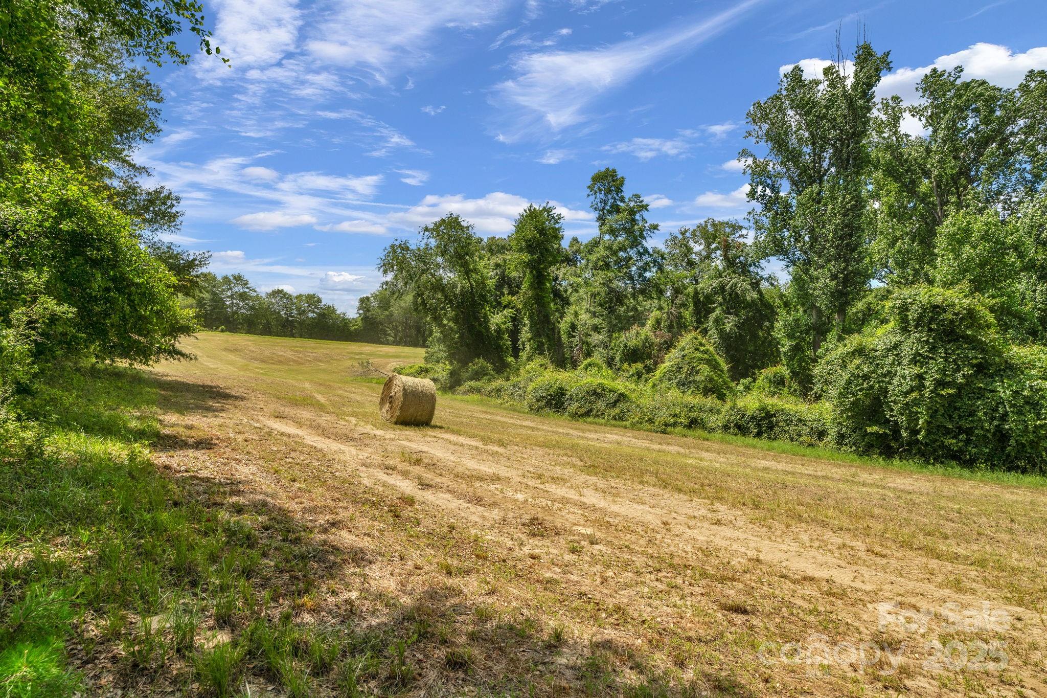 0 McMillan Road Cheraw, SC 29520 - Photo 19 of 33 a view of a field with an trees