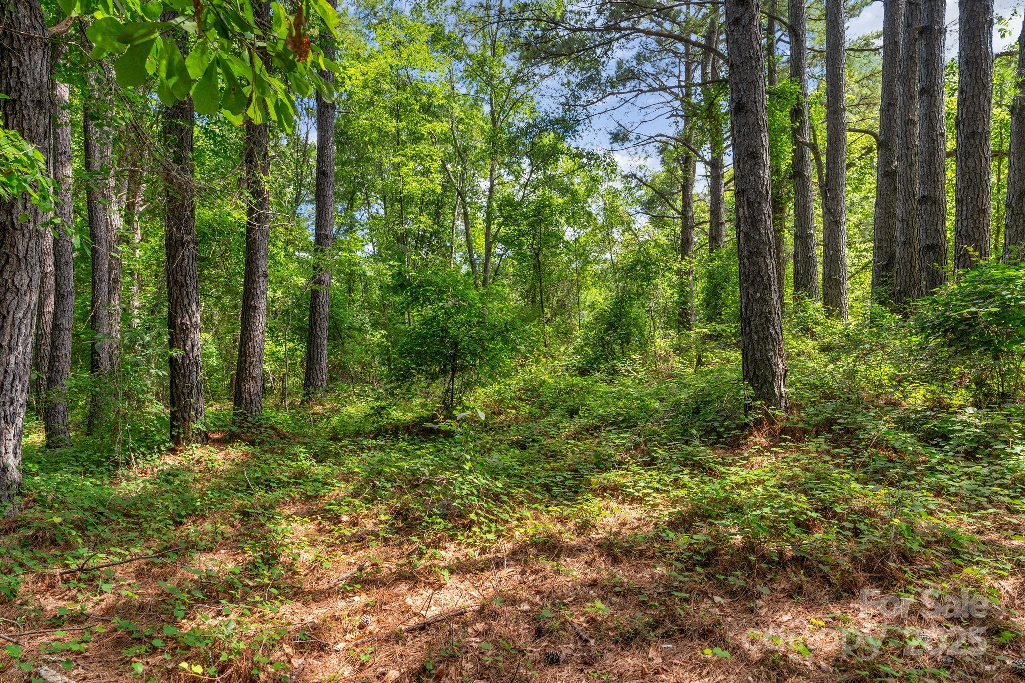 0 McMillan Road Cheraw, SC 29520 - Photo 20 of 33 a view of outdoor space and green space