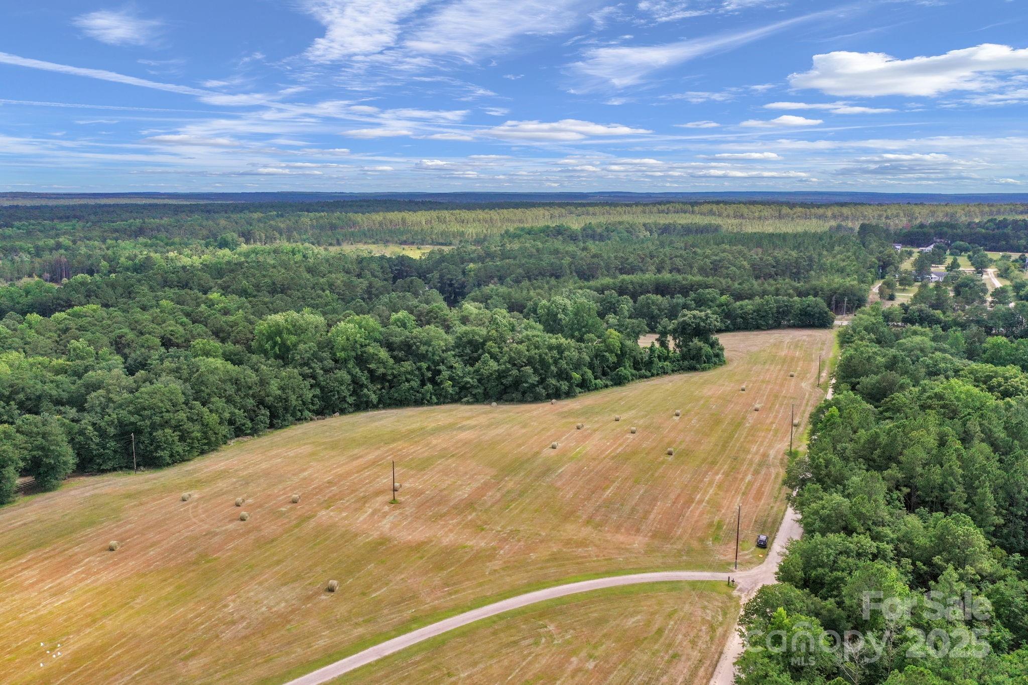 0 McMillan Road Cheraw, SC 29520 - Photo 2 of 33 a view of a big yard with lots of green space
